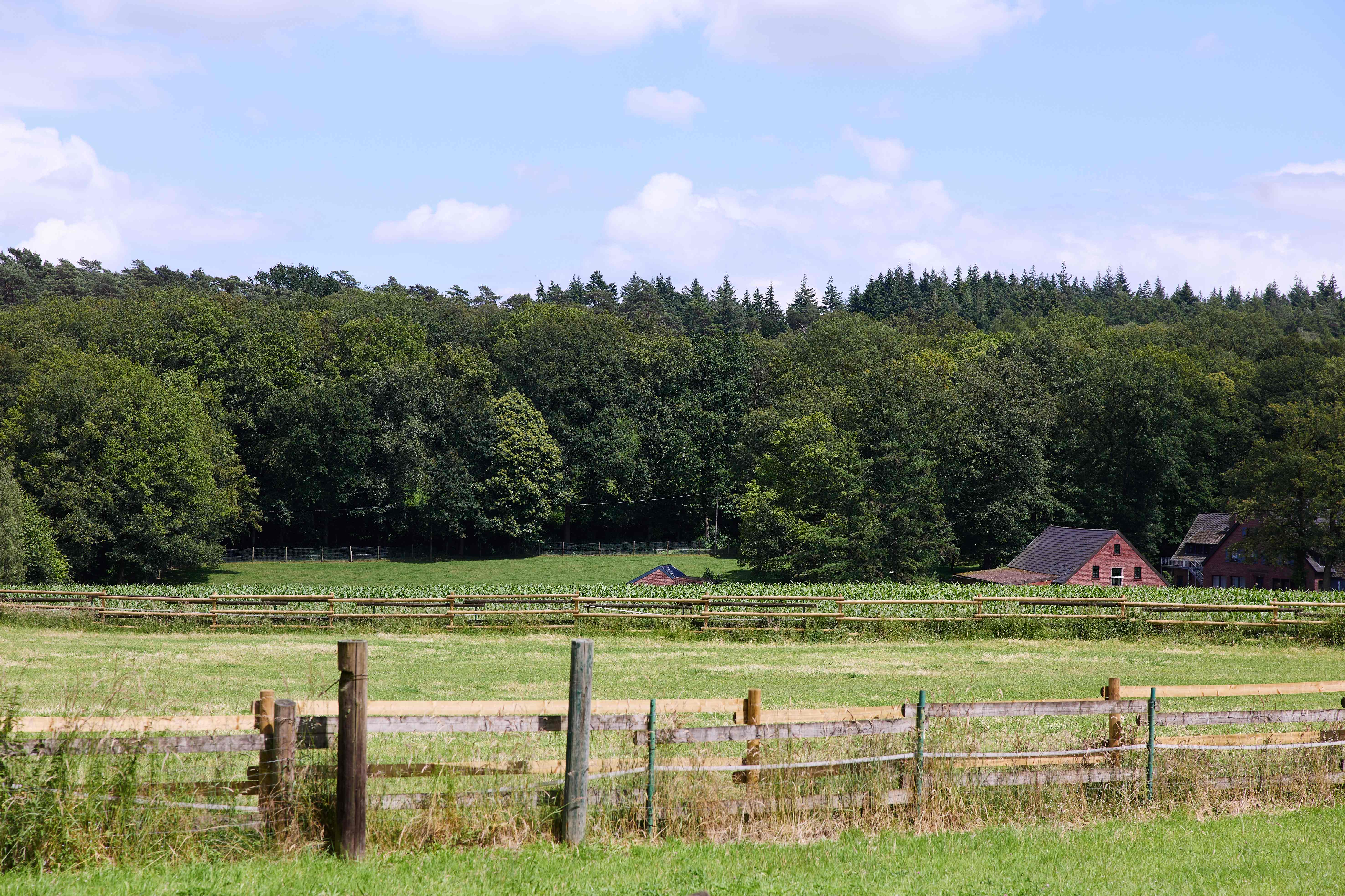 Wald- und Wiesenlandschaft mit Haus Granat