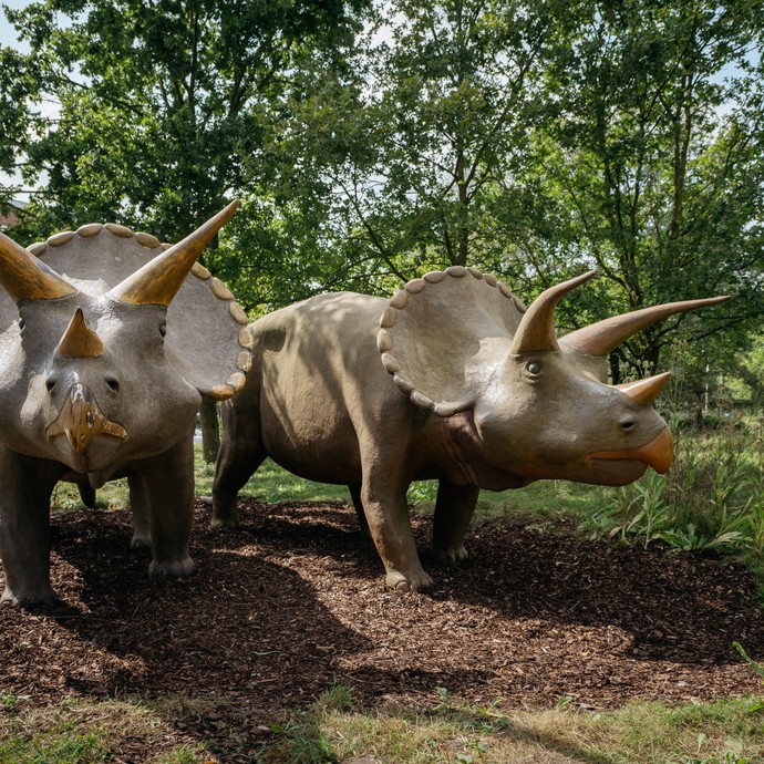 Triceratops-Modelle vor dem Museum (vergrößerte Bildansicht wird geöffnet)