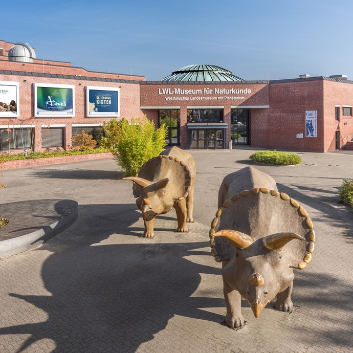 Zwei Dinosaurierskulpturen stehen vor dem Eingang des LWL-Museums für Naturkunde (öffnet vergrößerte Bildansicht)