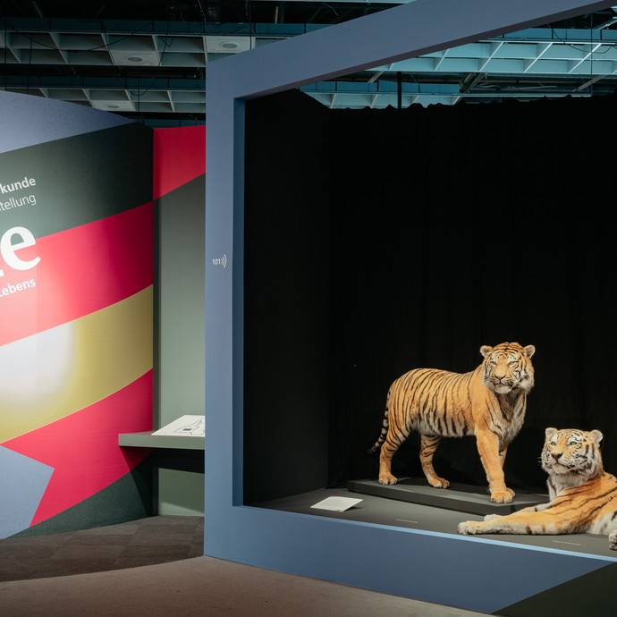Eingang zur Gene-Ausstellung (vergrößerte Bildansicht wird geöffnet)
