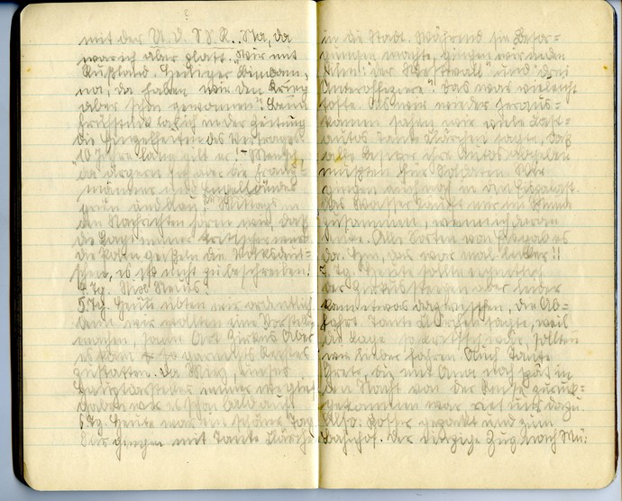 Textstelle aus dem Tagebuch