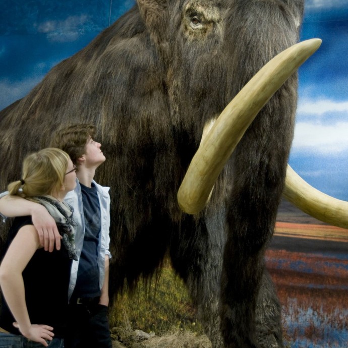 Zwei Personen stehen vor einem (künstlichen) Mammut und sehen zu ihm herauf (öffnet vergrößerte Bildansicht)