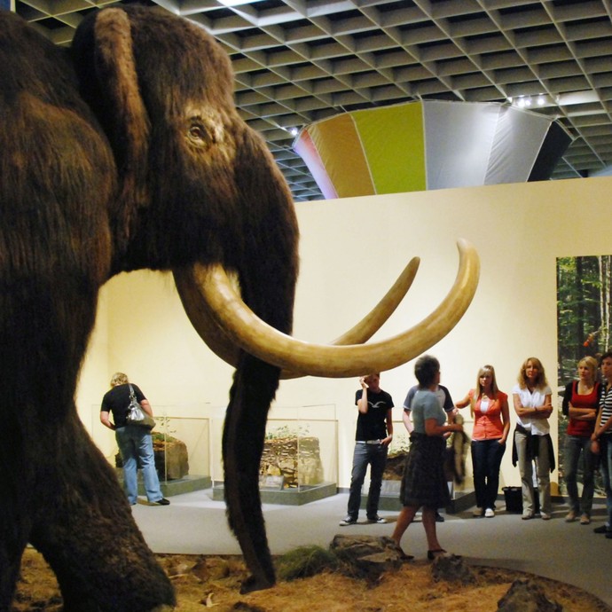 Mehrere Personen stehen vor einem (künstlichen) Mammut und hören einer Museumsführerin zu (vergrößerte Bildansicht wird geöffnet)