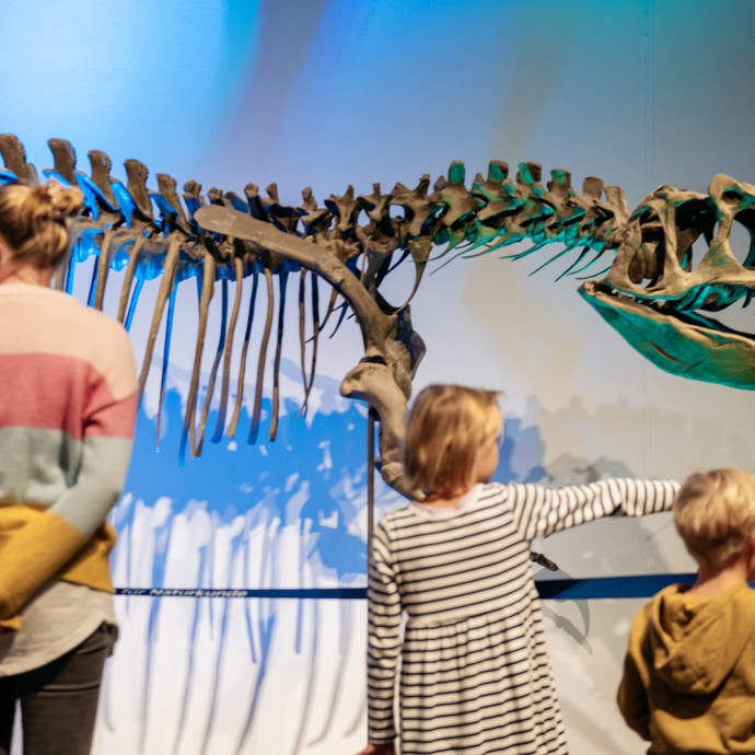 Allosaurus Skelett und Museumsgäste (vergrößerte Bildansicht wird geöffnet)