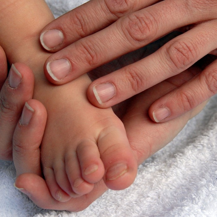Die Hände eines Erwachsenen halten Kinderhände. (öffnet vergrößerte Bildansicht)