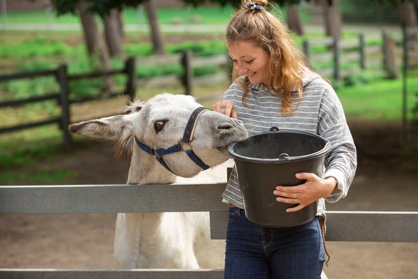 Tiere wie Esel Friedemann helfen in der LWL-Klinik Marl-Sinsen jungen Menschen bei Ihrer Genesung.
Foto: LWL