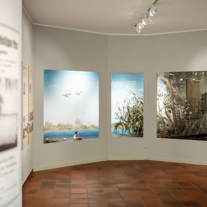 Blick in den Ausstellungsraum am Heiligen Meer (vergrößerte Bildansicht wird geöffnet)
