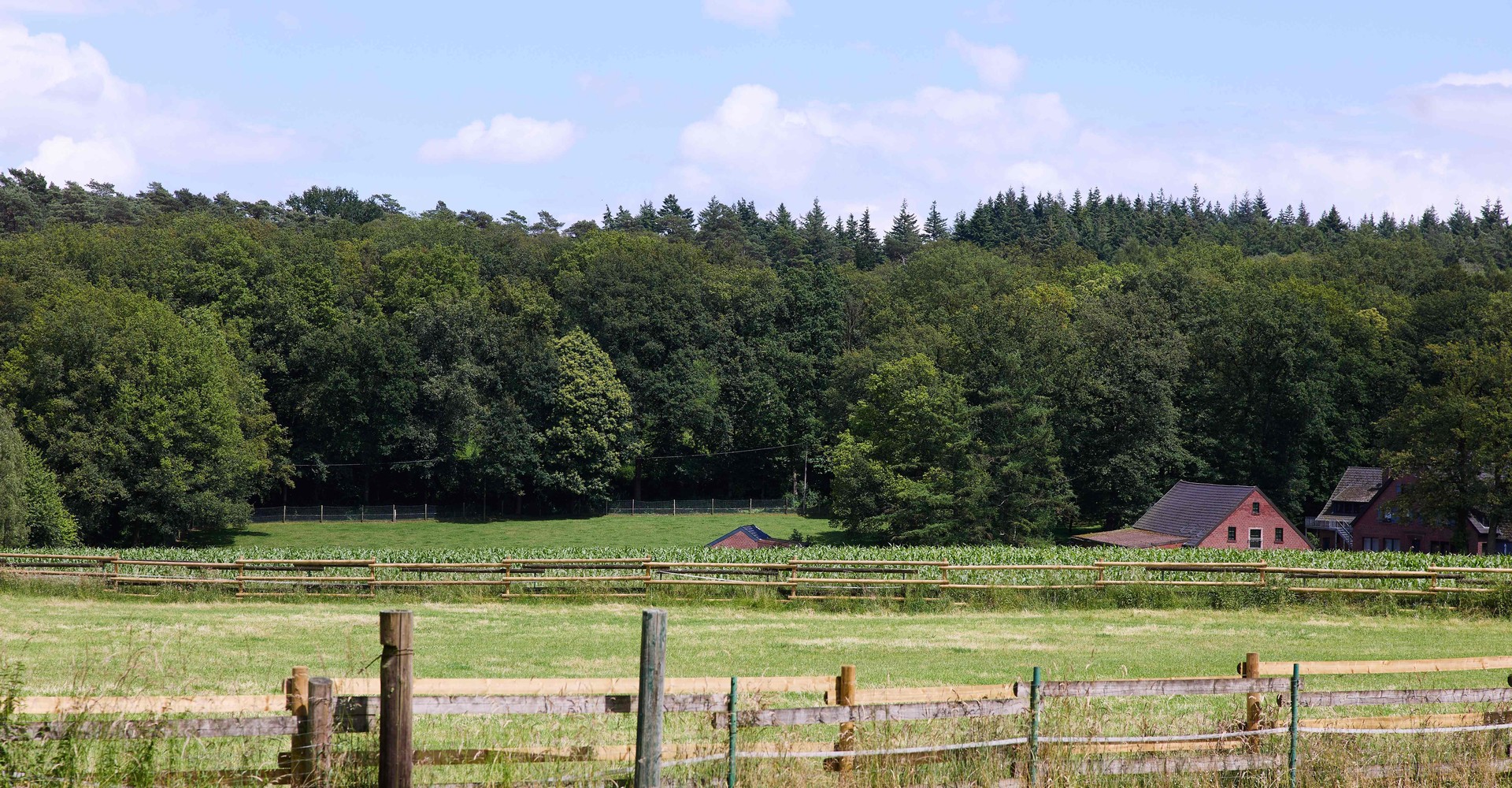 Wald- und Wiesenlandschaft mit Haus Granat