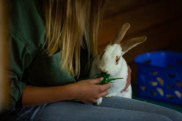 Der Umgang mit den Tieren stärkt das Selbstvertrauen.
Foto: LWL