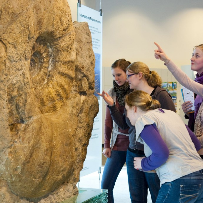 Menschen stehen vor einem Riesenammonit (Fossil) und zeigen darauf (vergrößerte Bildansicht wird geöffnet)