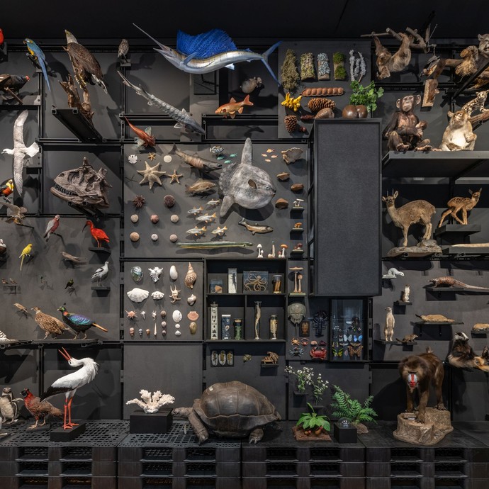 Vielfaltswand in der Gene-Ausstellung (vergrößerte Bildansicht wird geöffnet)