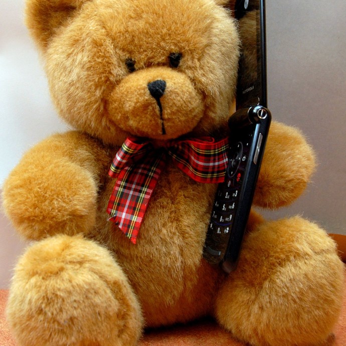 Ein Teddy hält ein Telefon an sein Ohr. (vergrößerte Bildansicht wird geöffnet)